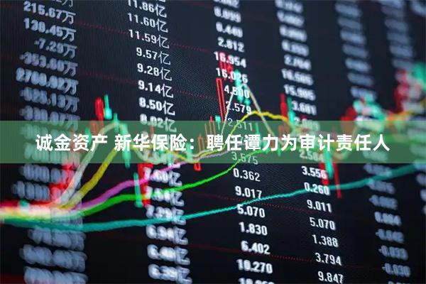 诚金资产 新华保险：聘任谭力为审计责任人