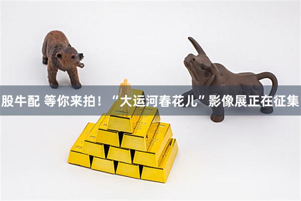 股牛配 等你来拍！“大运河春花儿”影像展正在征集